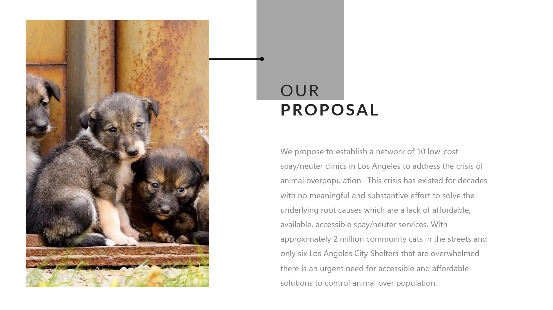 spay_la_proposal